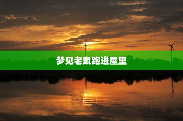 梦见老鼠跑进屋里