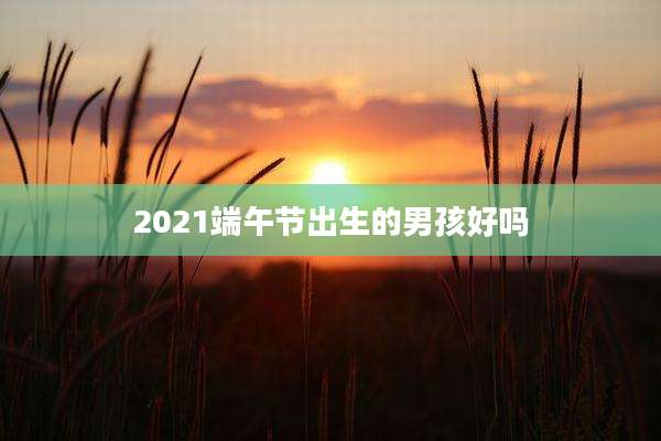 2021端午节出生的男孩好吗