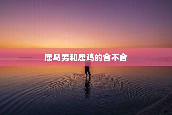 属马男和属鸡的合不合