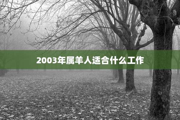 2003年属羊人适合什么工作
