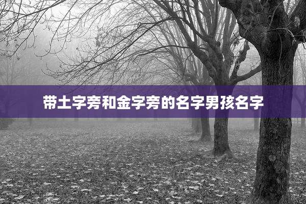 带土字旁和金字旁的名字男孩名字