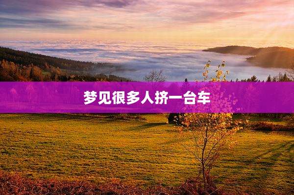 梦见很多人挤一台车
