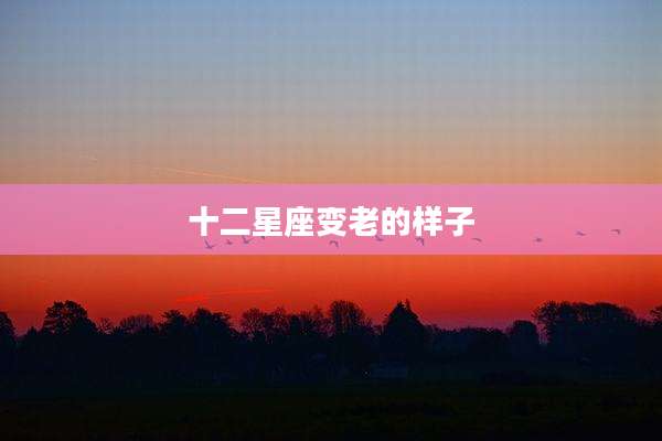 十二星座变老的样子