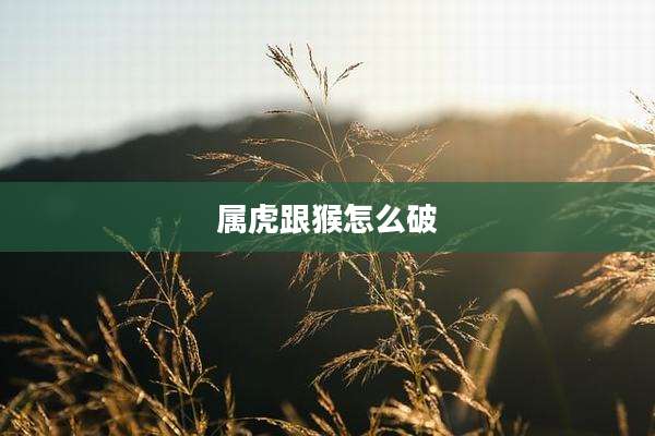 属虎跟猴怎么破