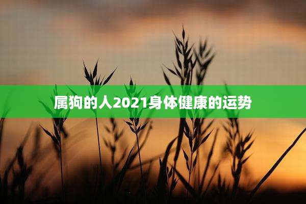 属狗的人2021身体健康的运势