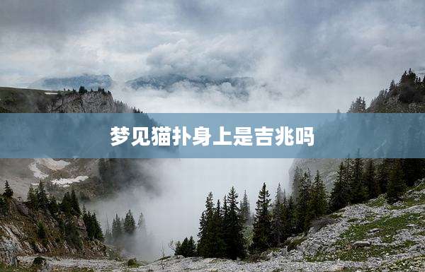 梦见猫扑身上是吉兆吗