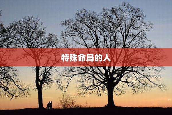 特殊命局的人