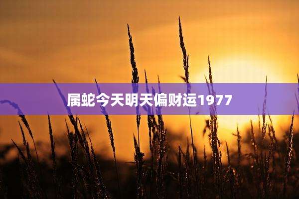 属蛇今天明天偏财运1977