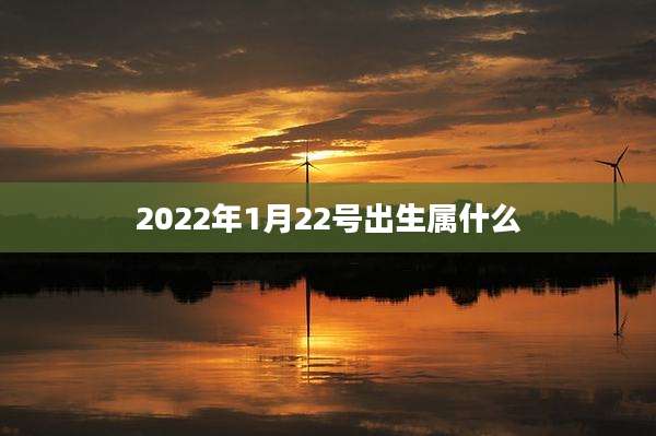2022年1月22号出生属什么