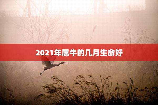 2021年属牛的几月生命好