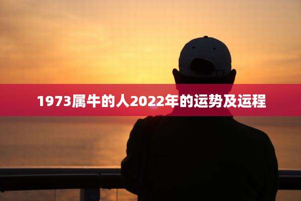 1973属牛的人2022年的运势及运程
