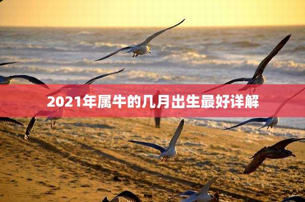 2021年属牛的几月出生最好详解