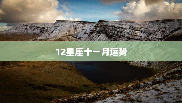 12星座十一月运势