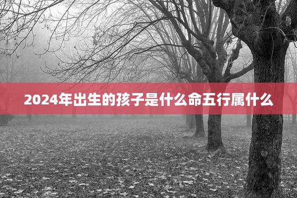 2024年出生的孩子是什么命五行属什么