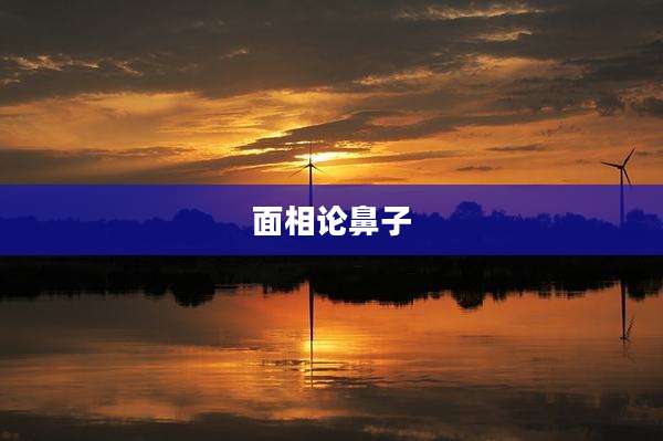 面相论鼻子