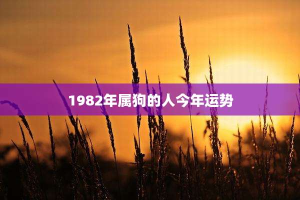 1982年属狗的人今年运势