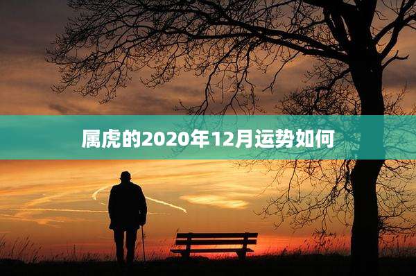 属虎的2020年12月运势如何
