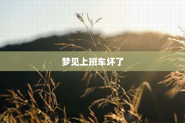 梦见上班车坏了