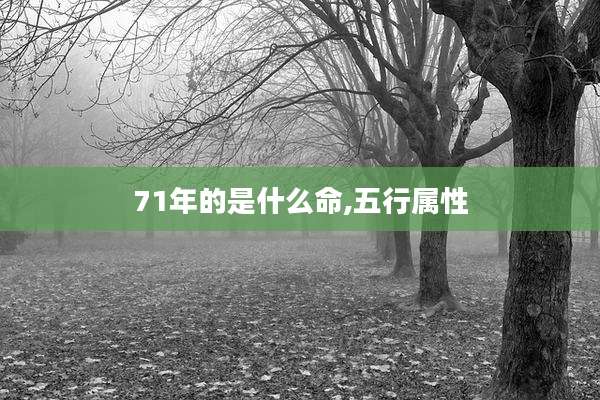 71年的是什么命,五行属性