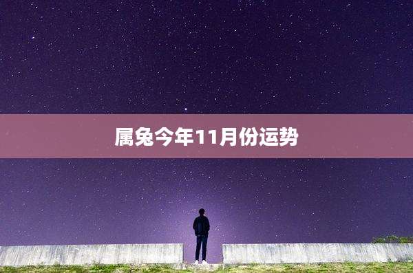 属兔今年11月份运势