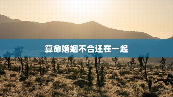 算命婚姻不合还在一起