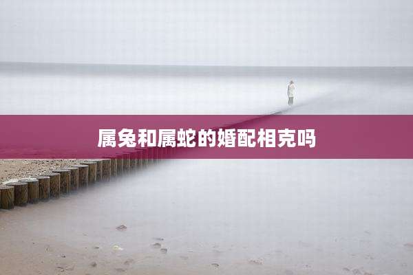 属兔和属蛇的婚配相克吗