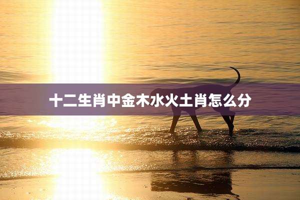 十二生肖中金木水火土肖怎么分