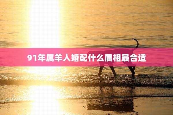 91年属羊人婚配什么属相最合适