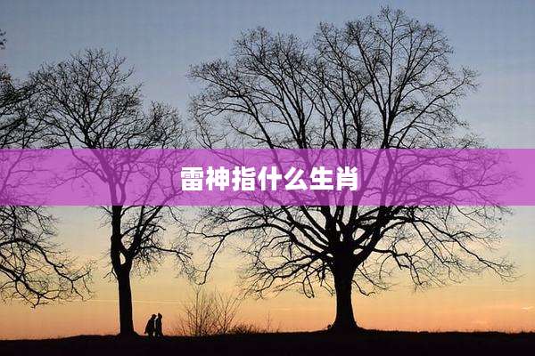 雷神指什么生肖