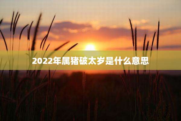 2022年属猪破太岁是什么意思