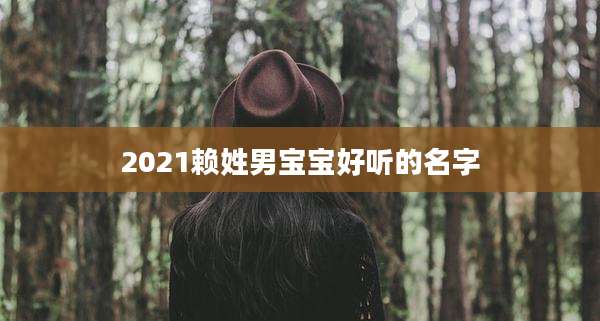 2021赖姓男宝宝好听的名字