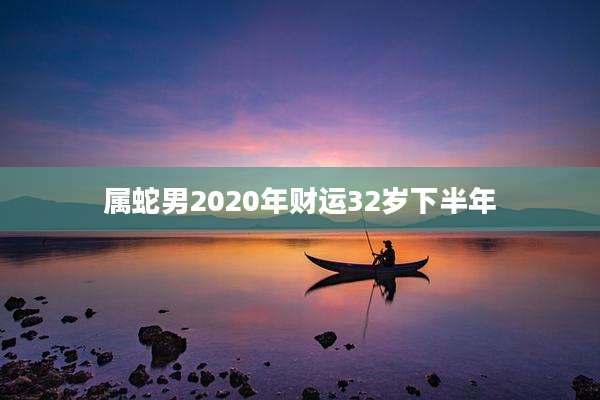 属蛇男2020年财运32岁下半年