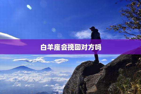 白羊座会挽回对方吗