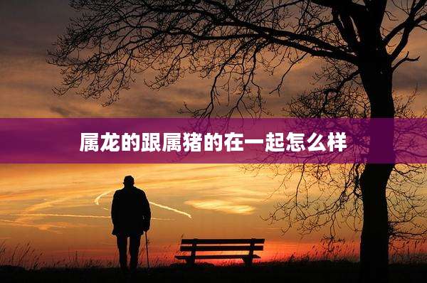 属龙的跟属猪的在一起怎么样