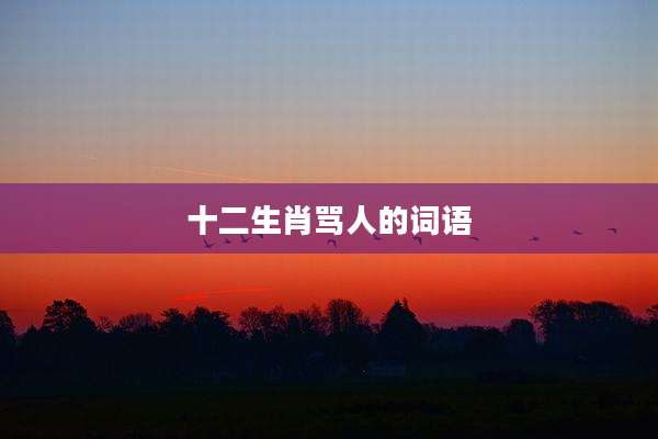 十二生肖骂人的词语