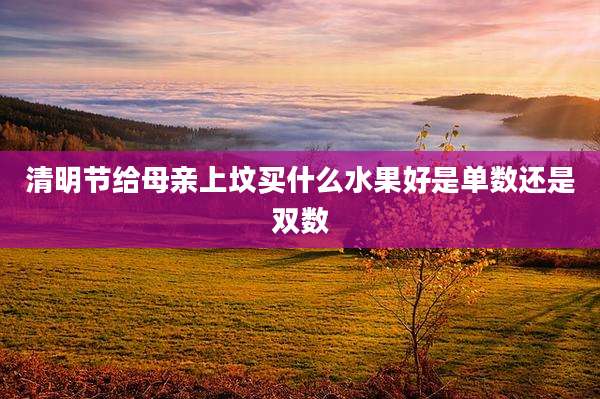 清明节给母亲上坟买什么水果好是单数还是双数