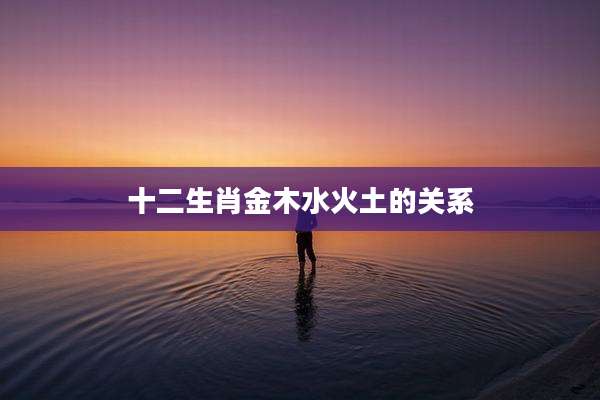 十二生肖金木水火土的关系