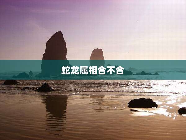 蛇龙属相合不合