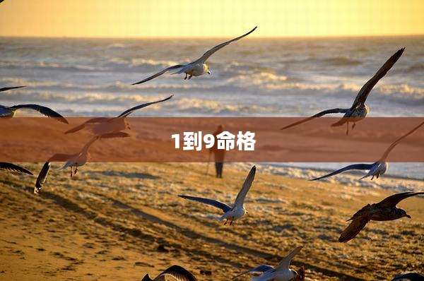 1到9命格
