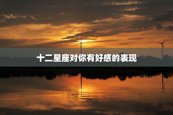 十二星座对你有好感的表现