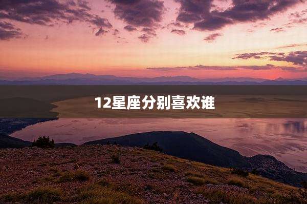 12星座分别喜欢谁