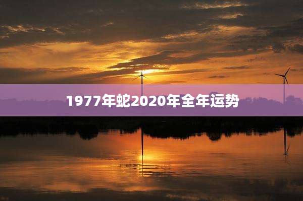 1977年蛇2020年全年运势