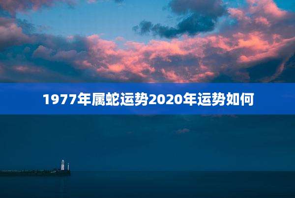 1977年属蛇运势2020年运势如何