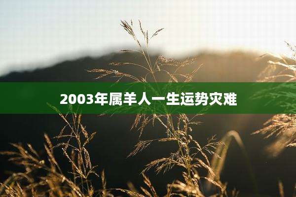 2003年属羊人一生运势灾难