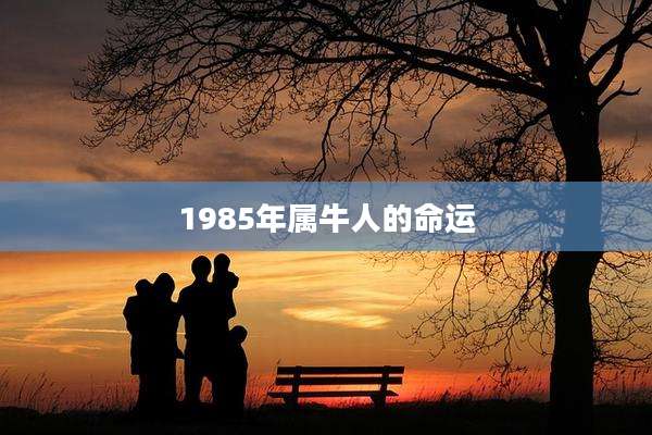 1985年属牛人的命运