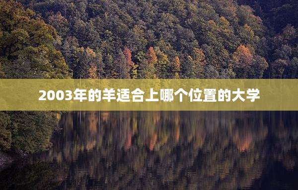 2003年的羊适合上哪个位置的大学