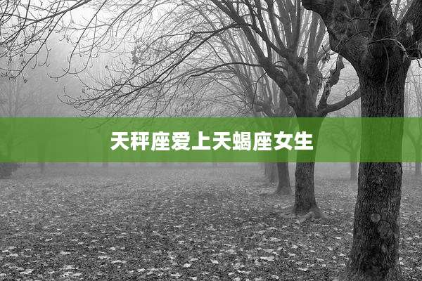 天秤座爱上天蝎座女生