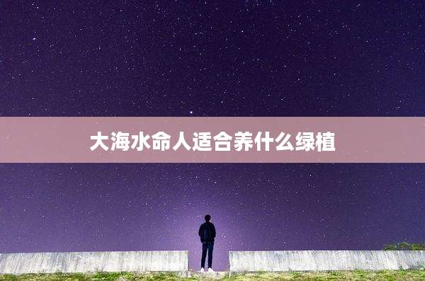 大海水命人适合养什么绿植