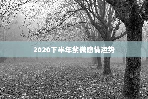 2020下半年紫微感情运势