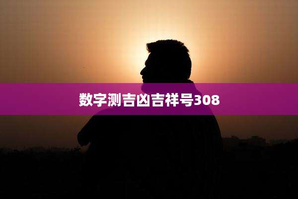 数字测吉凶吉祥号308